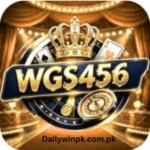 wgs456 game