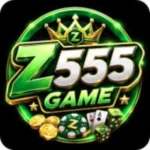 z555 game