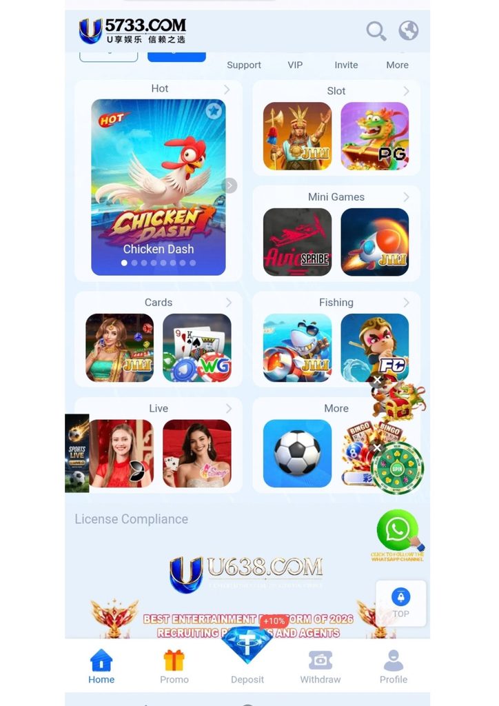 U5733 Game